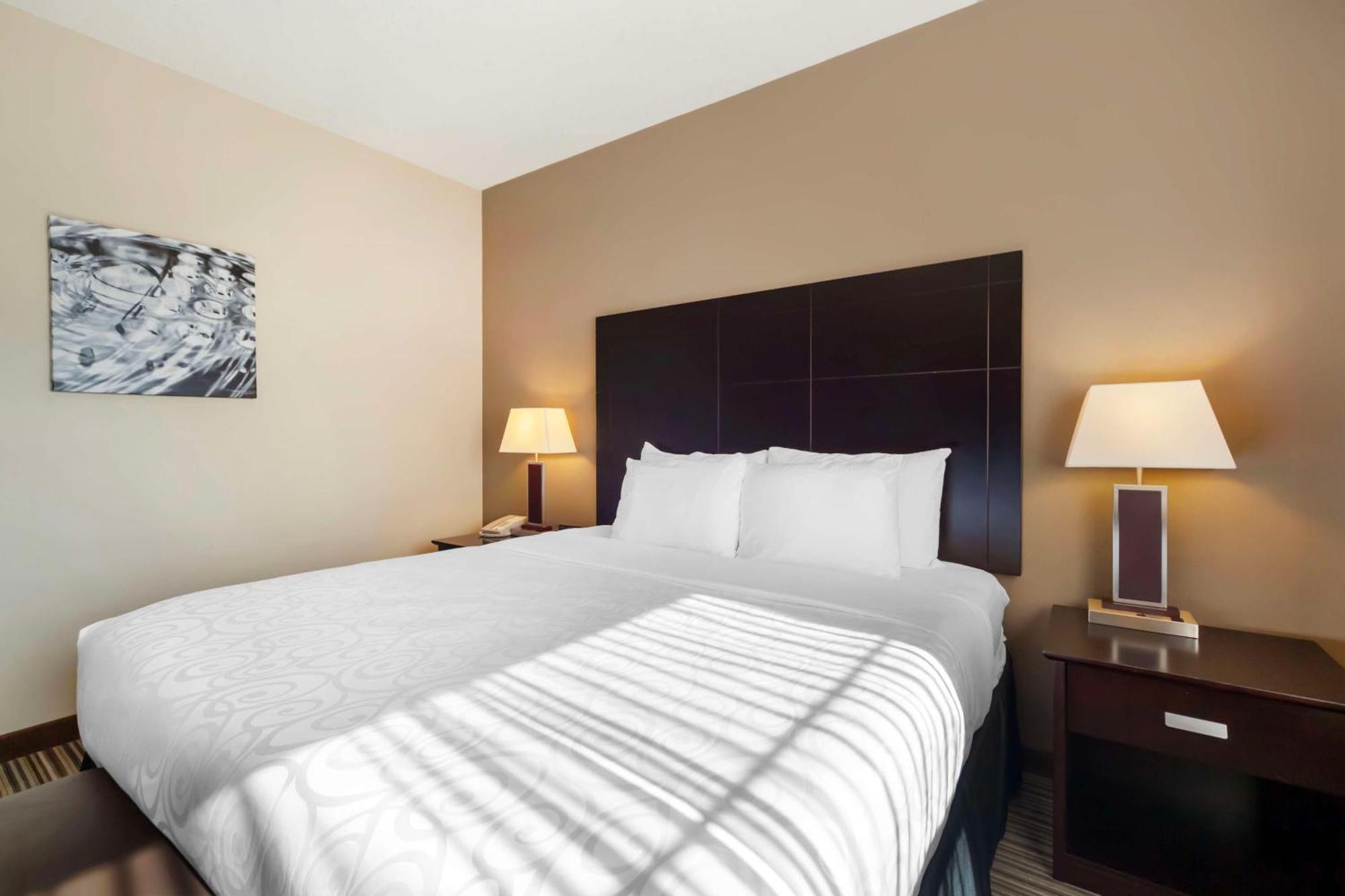 Best Western Plus Peace River Hotel&Suites Exterior foto